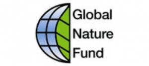 GNF - Logo