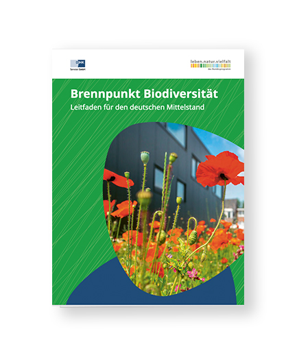 Broschüre Brennpunkt Biodiversität DIHK Service 2023