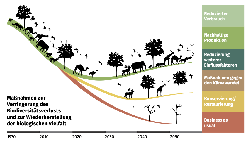 Was ist Biodiversität: Chancen erkennen für Ihr Wirtschaften