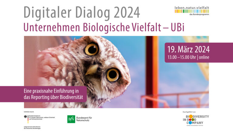 Veranstaltungsbild Digitaler Dialog 2024 - UBi