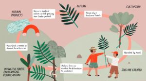 Illustration der Wertschöpfungskette von Karuun - von der Kultivierung der Pflanze über die Arbeitsplatzgenerierung bis hin zur Ernte und dem fertigen Produkt.