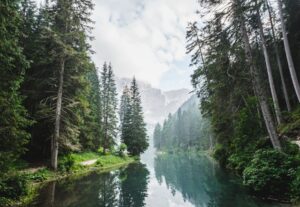 Naturlandschaft: Gewässer mit umrandenden Bäumen