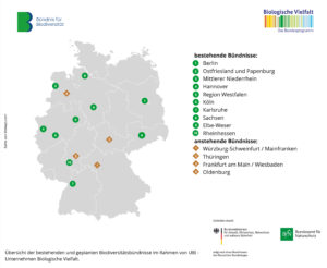 Eine Übersicht der betehenden und anstehenden Biodiversitätsbündnisse von UBi - Unternehmen Biologische Vielfalt.