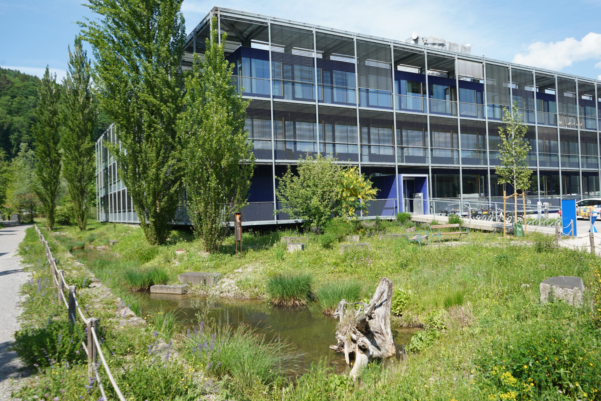 Modernes Bürogebäude mit naturnah gestalteter Außenanlage und Wasserlauf zur Klimaanpassung