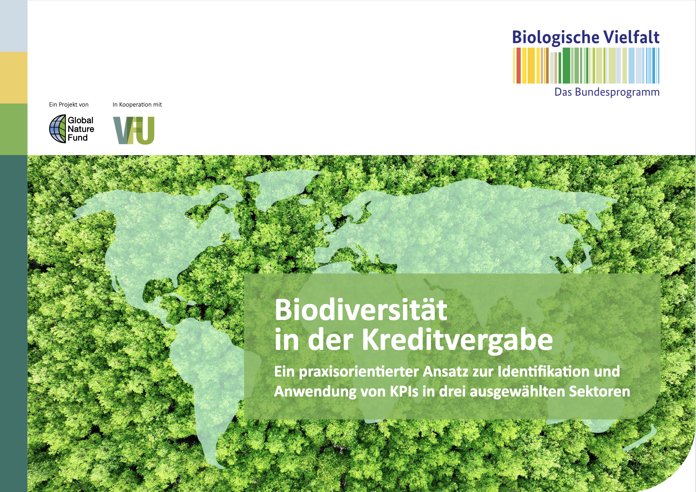 Titelbild der Publikation „Biodiversität in der Kreditvergabe“ mit Weltkarte über Waldlandschaft