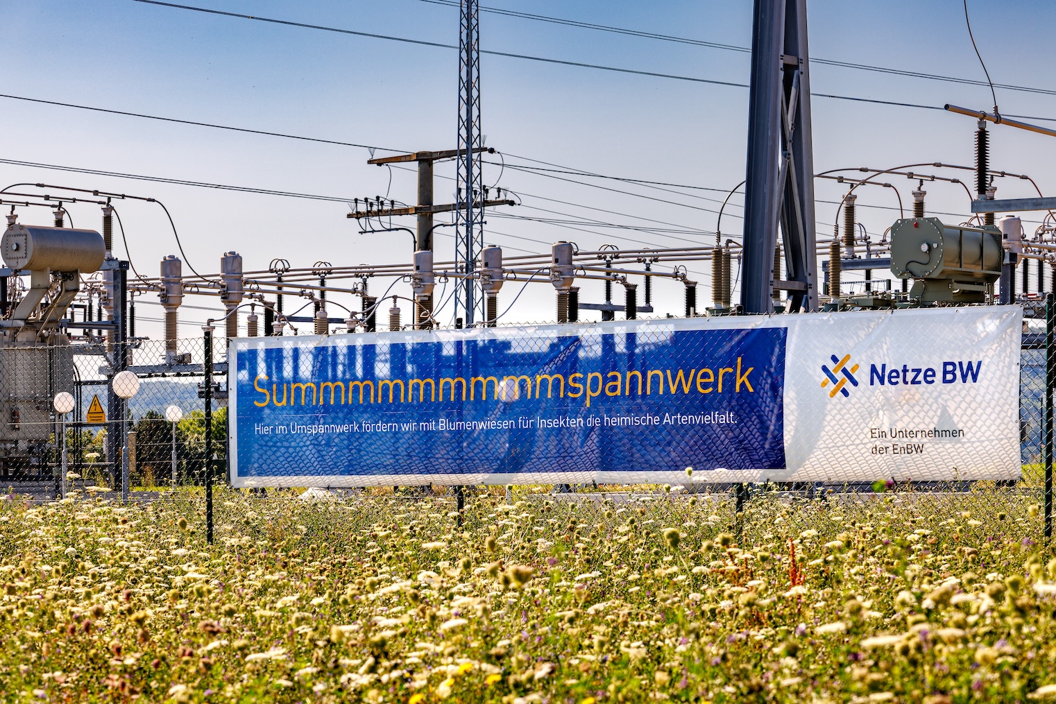 Alternativtext: Ein Umspannwerk von Netze BW mit Blühwiese und einem Banner zum Projekt „Summspannwerk“.