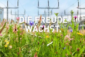 Blühwiese vor einem Umspannwerk mit dem Schriftzug „Die Freude wächst.“