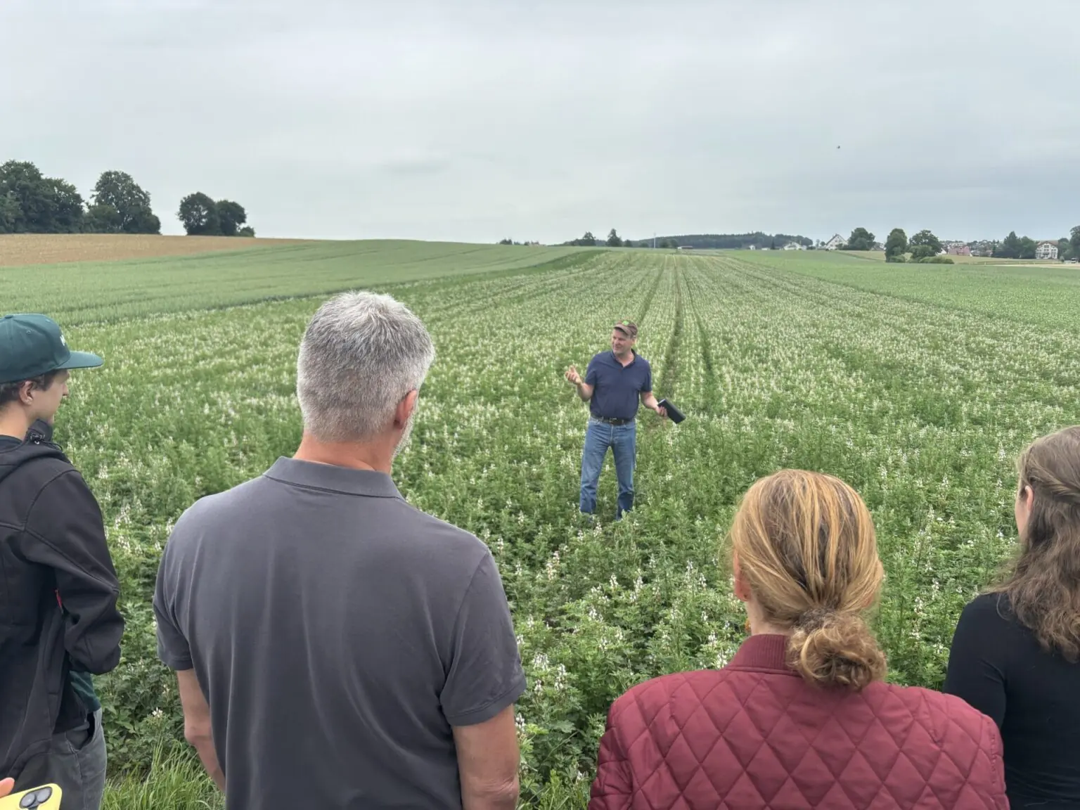 Igor Herrmann erläutert einer Exkursionsgruppe den Anbau der Weißen Lupine auf einem Feld
