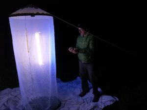 Eine Person steht nachts neben einer beleuchteten Insektenfalle.