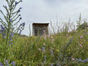 Blühwiese mit Insektenhotel auf dem Gelände des L’Oréal-Logistikzentrums Muggensturm.