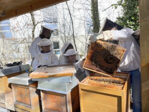 Ein Imker zeigt Kindern und Erwachsenen in Schutzkleidung eine mit Bienen besetzte Wabe an einem Bienenstock.