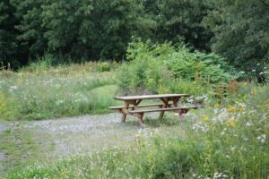 Holztisch mit Sitzbänken in einem naturnah gestalteten Pausengarten, umgeben von Wiesenblumen und Sträuchern