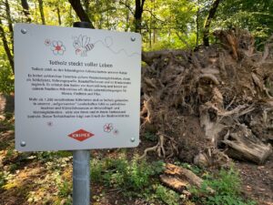 Informationstafel mit der Aufschrift „Totholz steckt voller Leben“ neben einem Totholzhaufen auf dem KNIPEX-Gelände