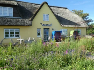 Gelbes Strand-Café mit Reetdach, Sitzgelegenheiten und bunt blühenden Pflanzflächen im Vordergrund.